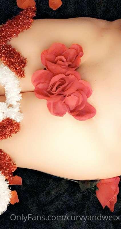 curvyandwetx image #3