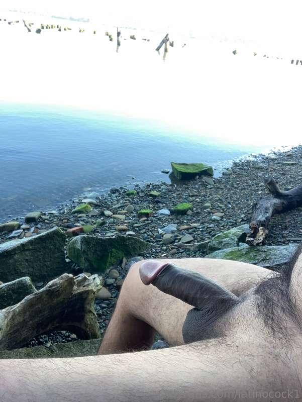 latinocock1 image #2
