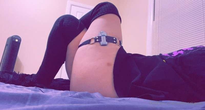 salmonskipper image #8