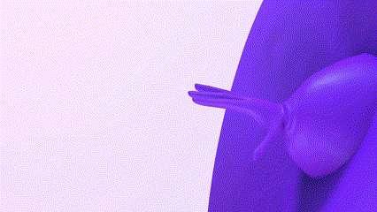 Violet Animation F21