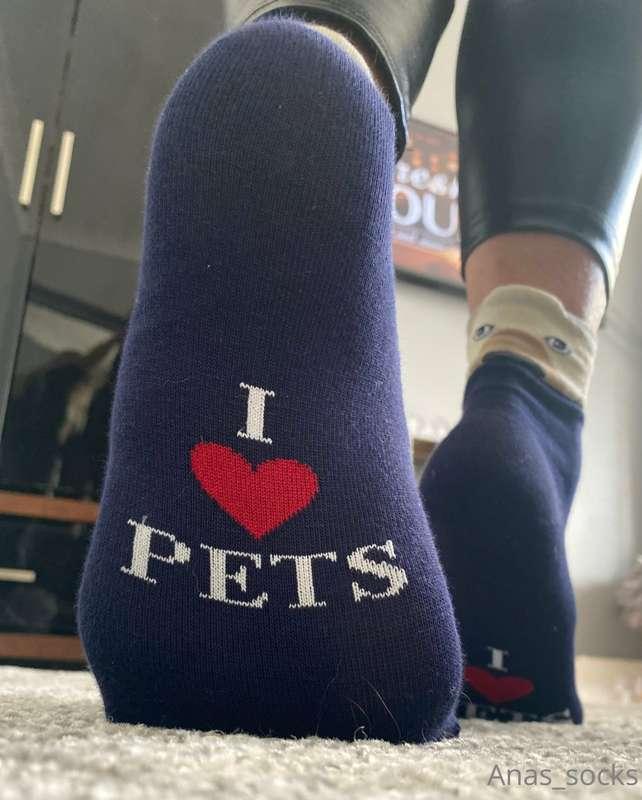 How do you like my new socks sockboy?