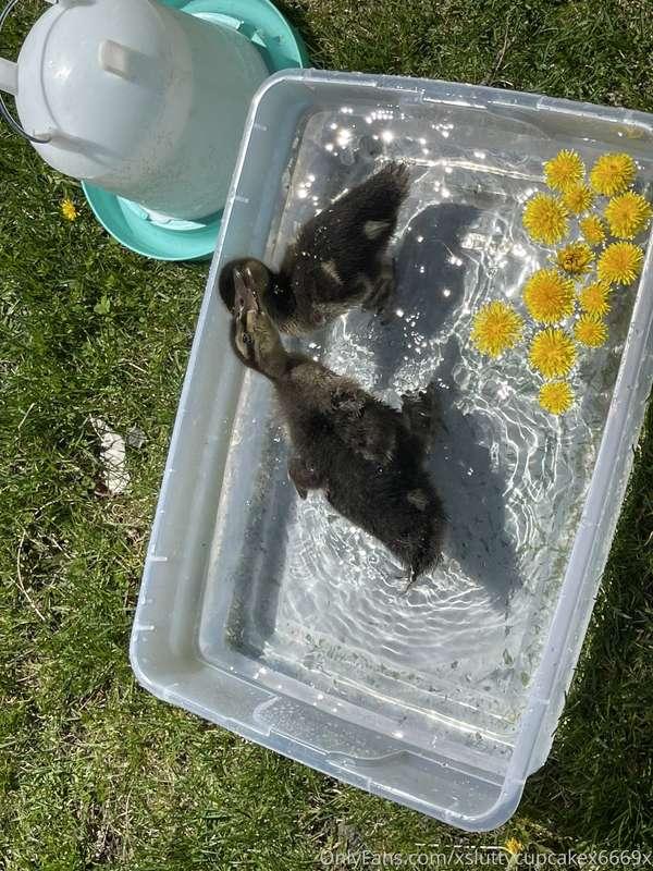 Unrelated but I hope you guys appreciate the pictures of our..