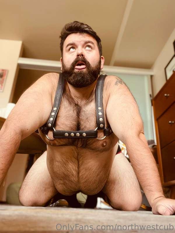 Feeling like a good boy today