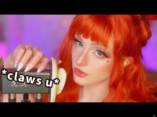 mewlies main image
