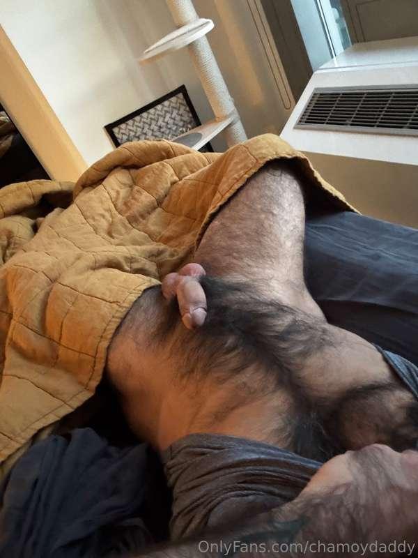 Waking up from a nap with a hard cock… the joys of manhood