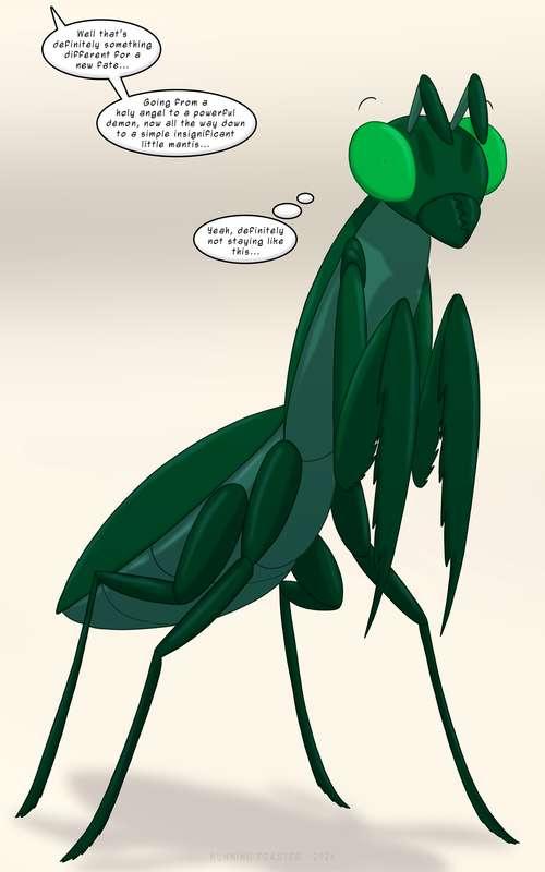 [Fates] Mantis