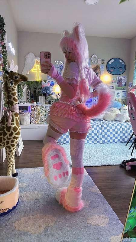 indigowhite image #97