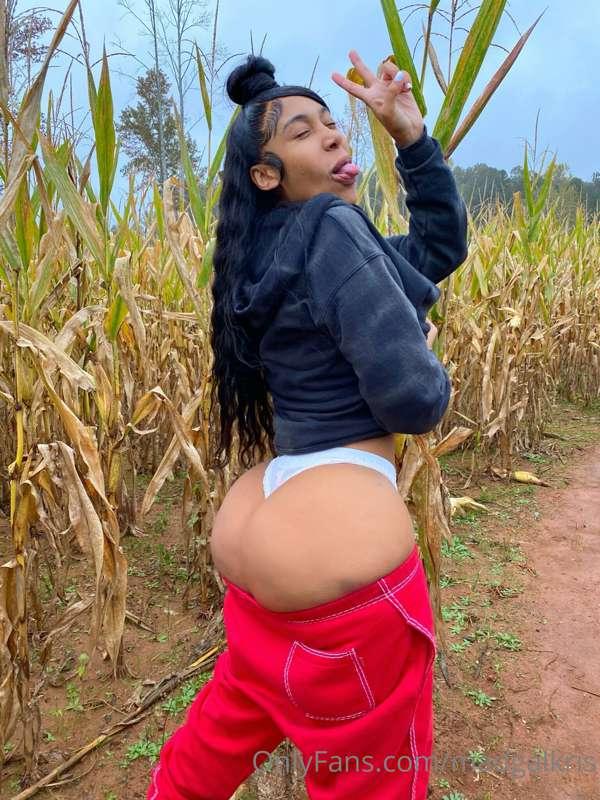trying to think of a good corn dirty joke lol