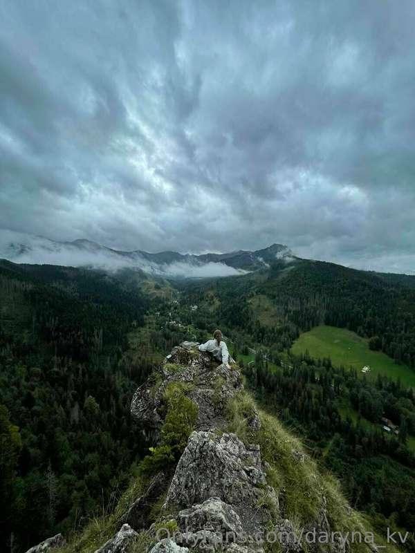 Gazing upon a forest, wild and free,
A masterpiece in nature..