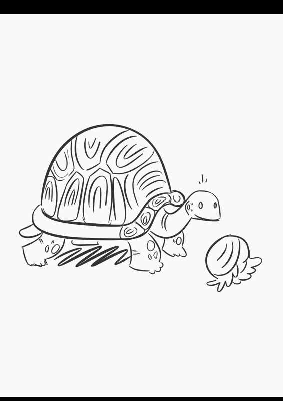 Tortoise Sketch