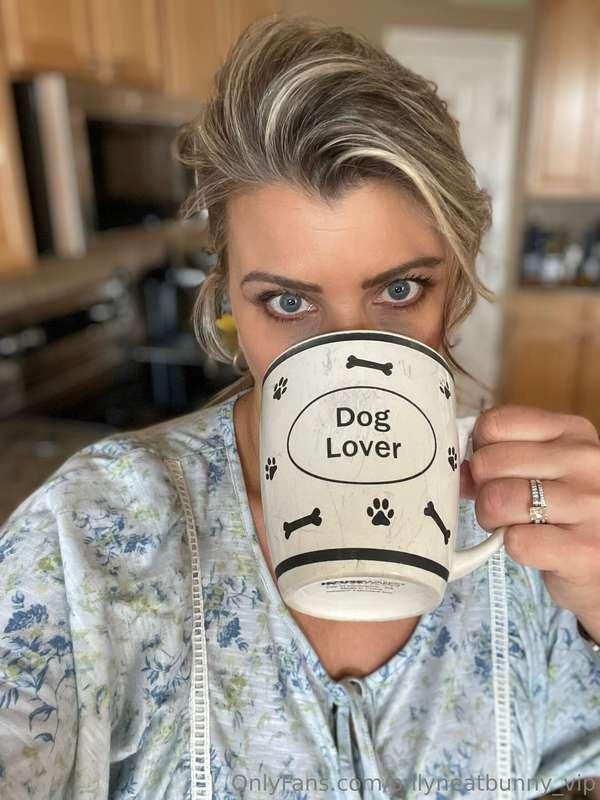 onlyneatbunny_vip image #0