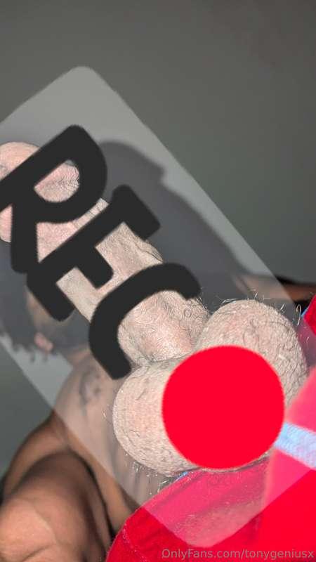 ***Penis pictures***