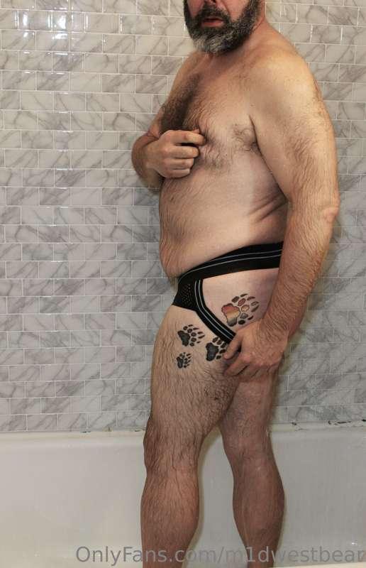 m1dwestbear image #6