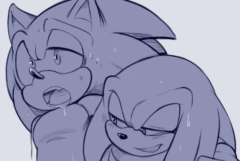 Sonic x Knuckles 