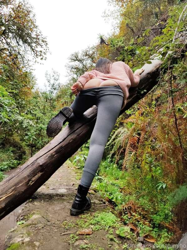 Wanna go hiking with me :3 ? I miss this vibrant green natur..