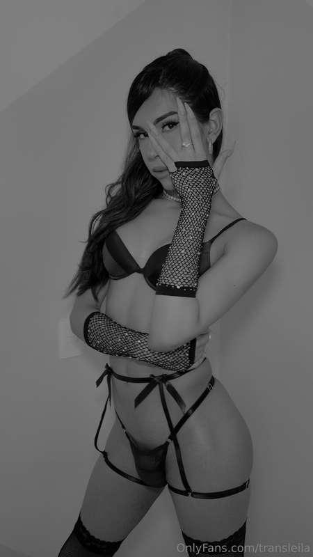 transleila image #1