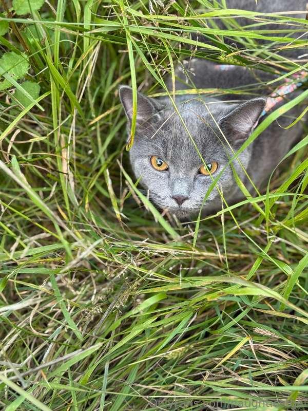 naughtiestgal image #2