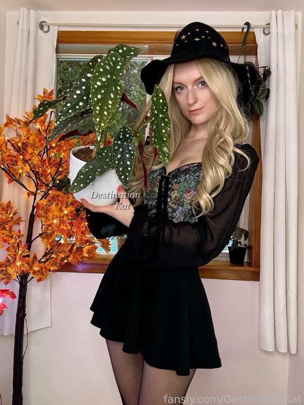 destinationkat image #2