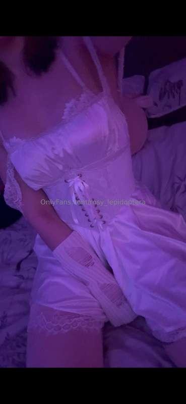 rosy_lepidoptera image #0