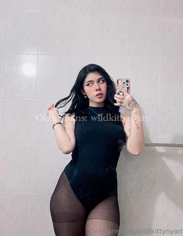 wildkittynyan image #1