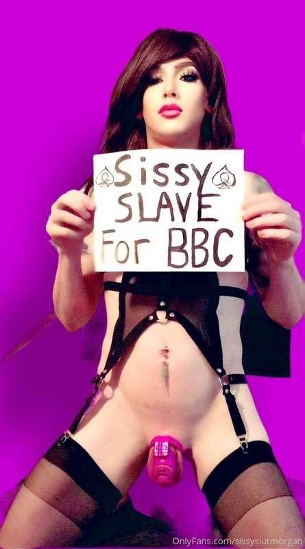 How do you feel ? Do you think white sissy’s should be black..
