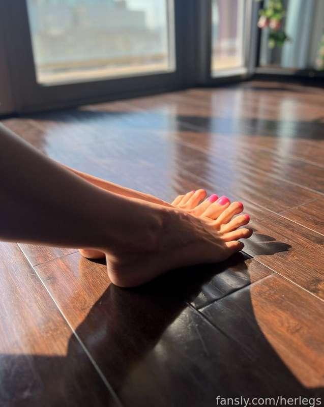 herlegs image #1
