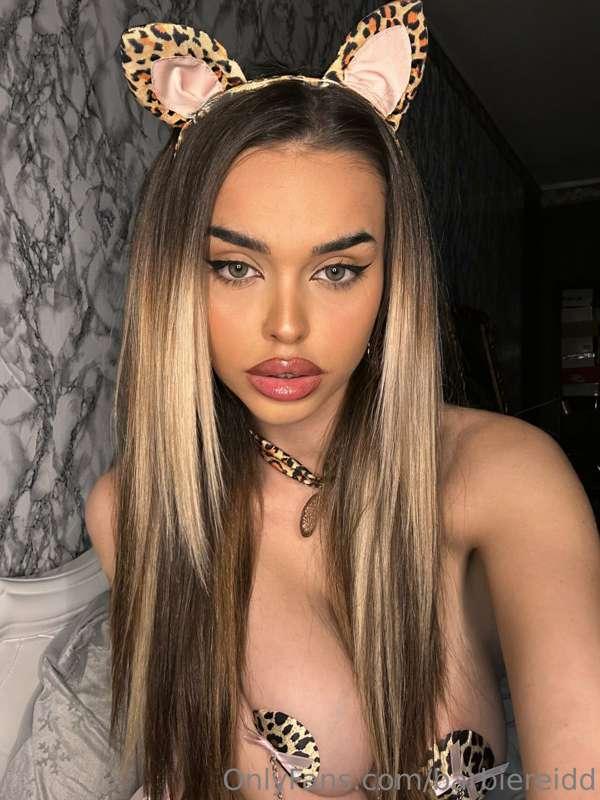### I can be a kitty who loves sausage. 
What would you like..