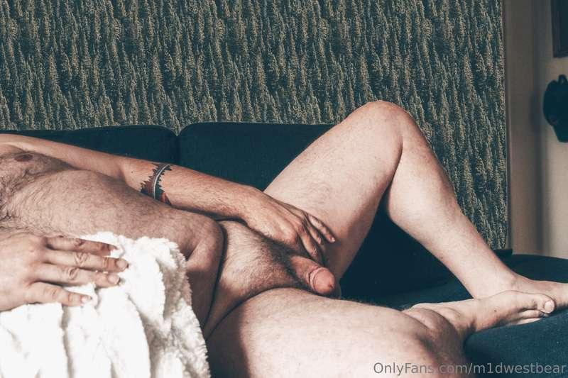 m1dwestbear image #10