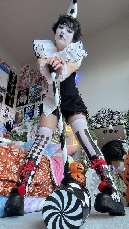 indigowhite image #113