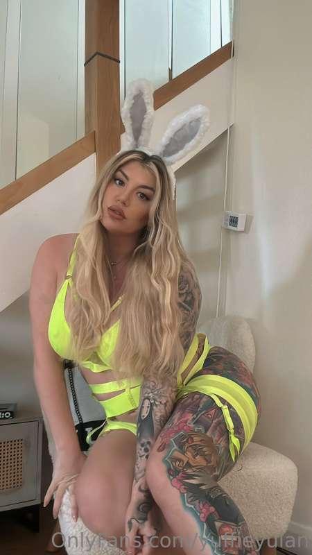 🐰🐰🐰🐰