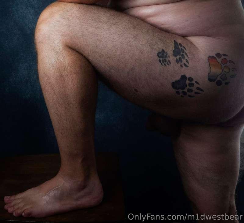 m1dwestbear image #14