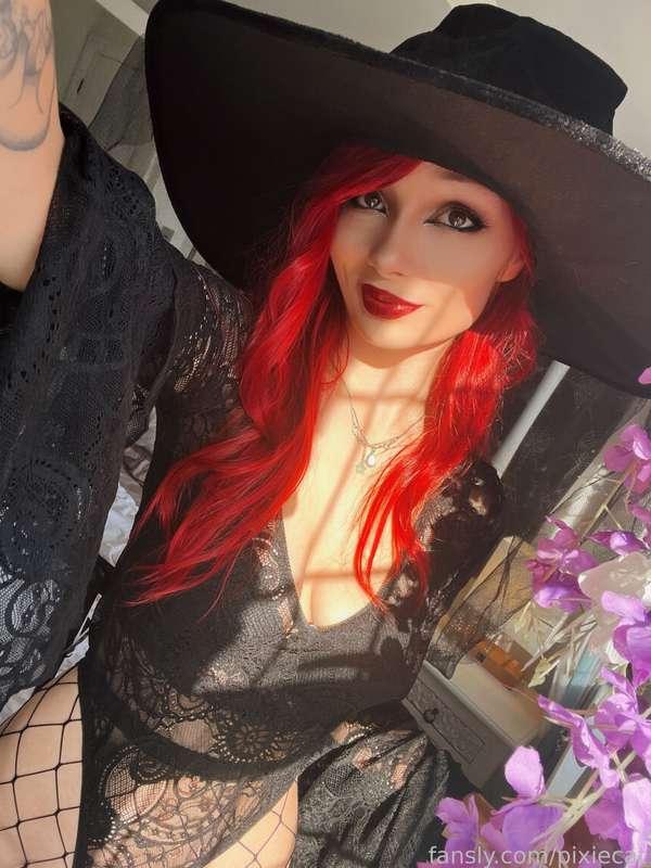 pixiecat image #1