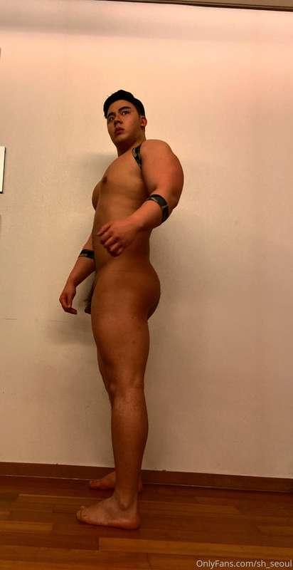 Harness
