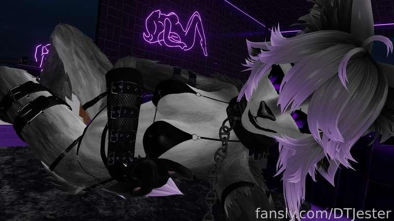 dtjester image #8