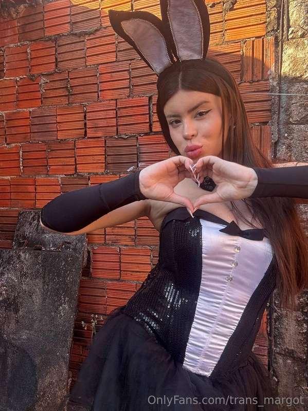 trans_margot image #0