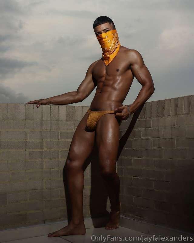 jayfalexanders image #4