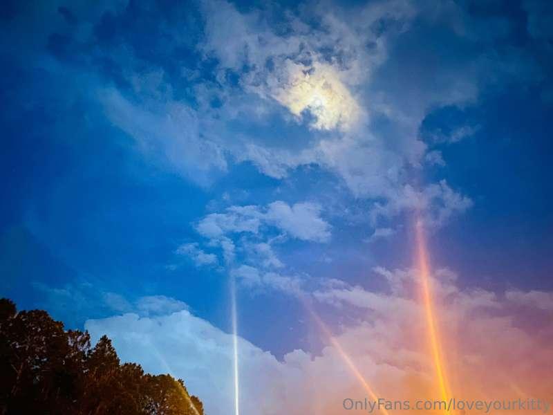 loveyourkitty image #3