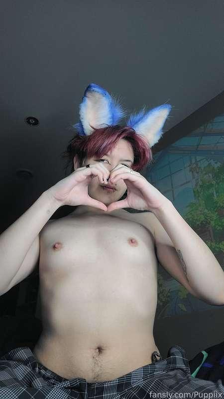 puppiix image #2