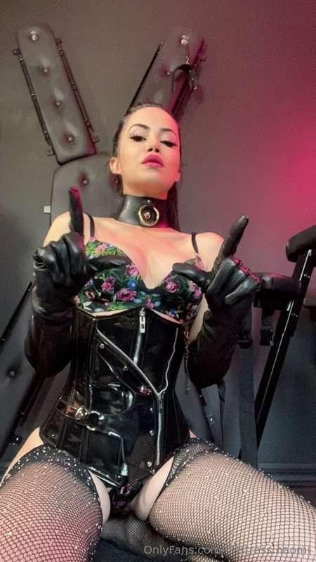 Such a loser! Now show some respect to your Mistress and kne..