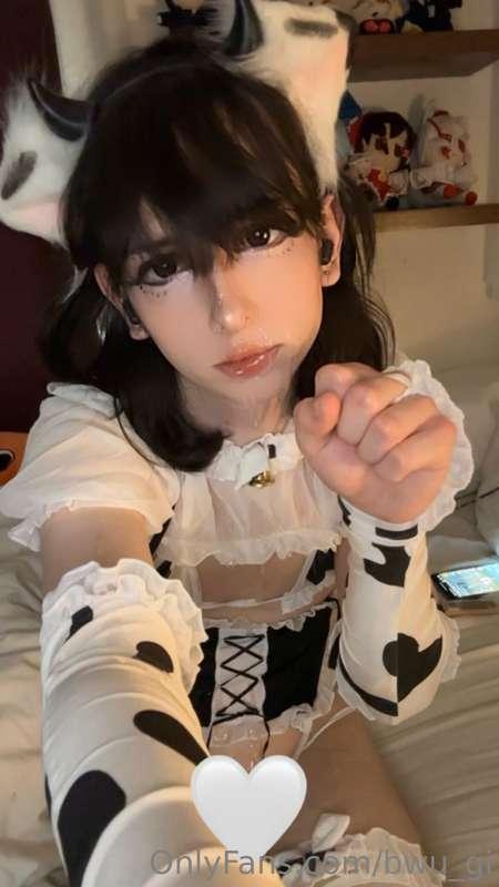 bwu_gi image #1
