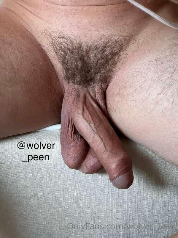 wolver_peen image #2