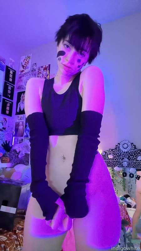 indigowhite image #338
