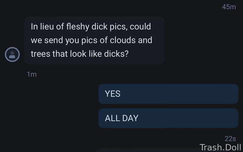 ✋😝🥰

Hey hi friendly reminder 

Do NOT send me your dick pics unless I have asked or agreed. 
Honestly hunnies,  I’m not here to see your ding-a-lings. 
If we connect, then we connect. and I’ll spoil the shit out of you.
 Otherwise please treat me with respect. 
I have REALLY BIG fucking feelings and they break easy. 

Thanks 😊 

