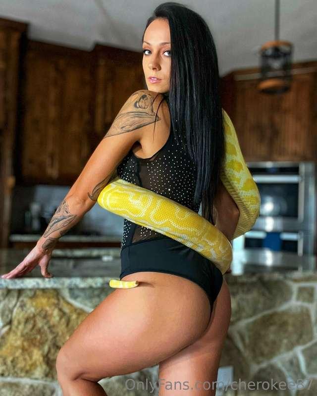 😍🐍 wrapped up