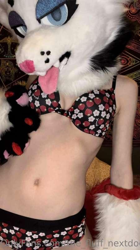 the_fluff_nextdoor image #7