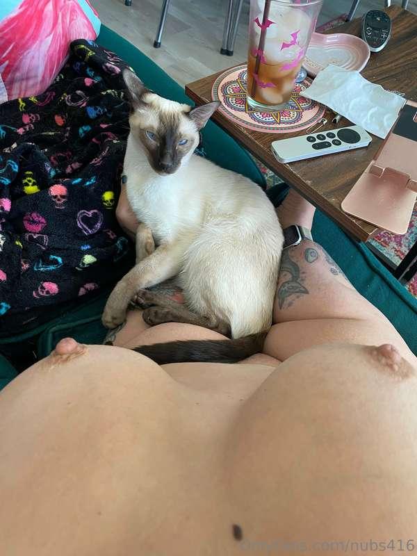 Happy Caturday!!! 😸😽