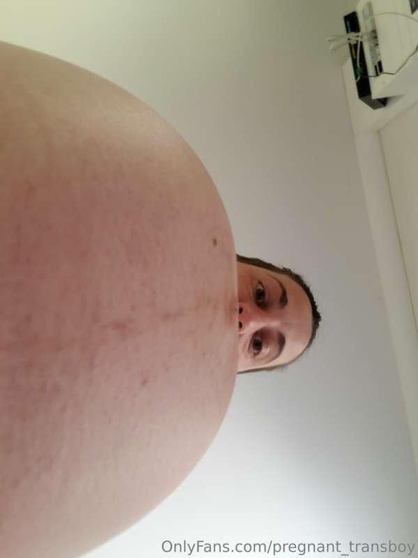 pregnant_transboy image #0