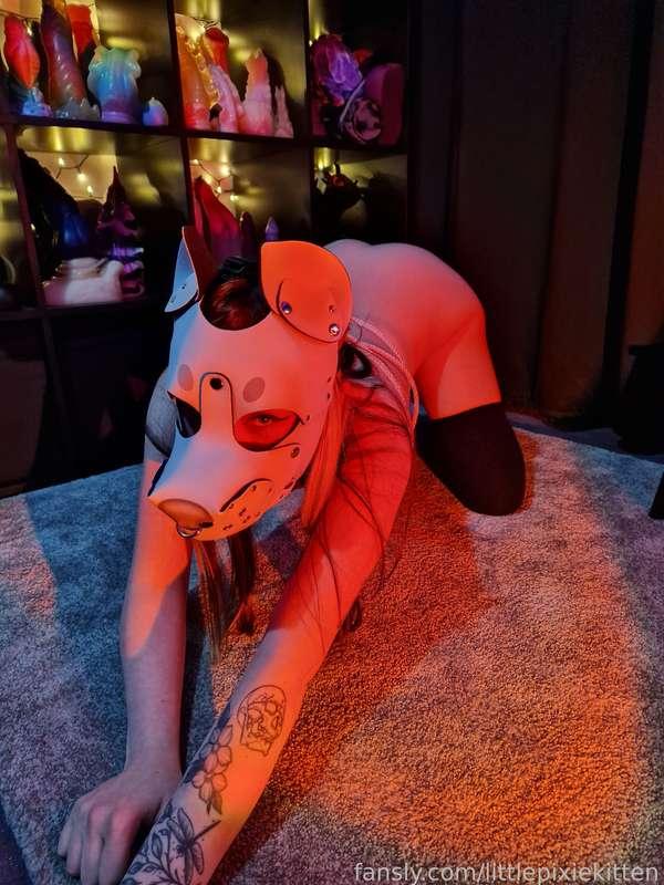 littlepixiekitten image #17