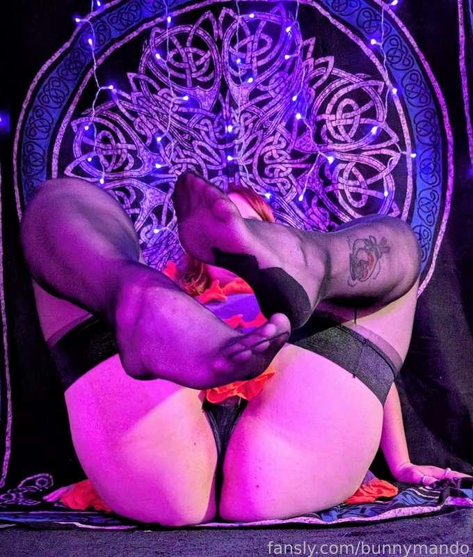 bunnymando image #7