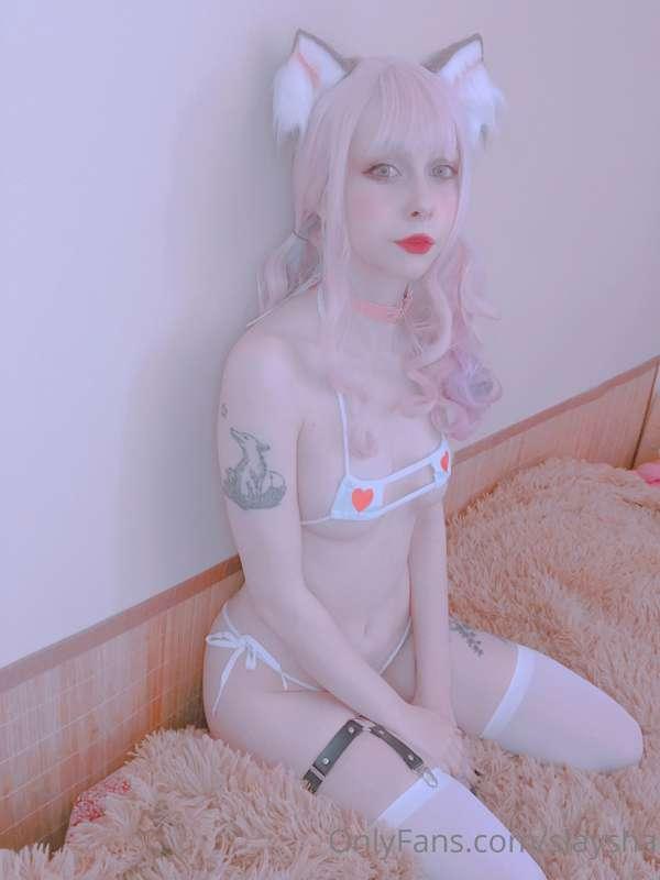 shy